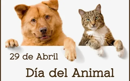 29 DE ABRIL, DÍA DEL ANIMAL EN ARGENTINA