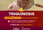 Triquinosis: claves para prevenir una enfermedad que puede evitarse