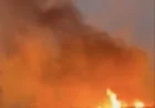 Preocupante incendio sobre ruta 40 en San Carlos
