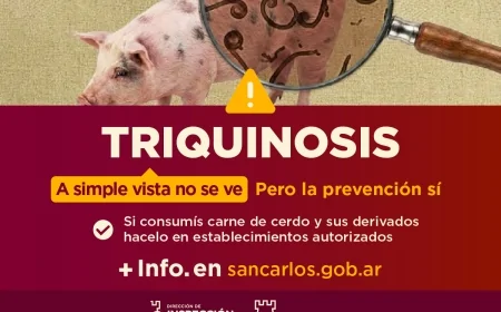 Triquinosis: claves para prevenir una enfermedad que puede evitarse