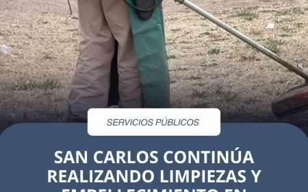 San Carlos refuerza los operativos de limpieza y mantenimiento en parques públicos