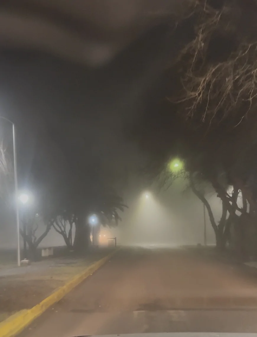 El Valle de Uco amaneció cubierto de niebla